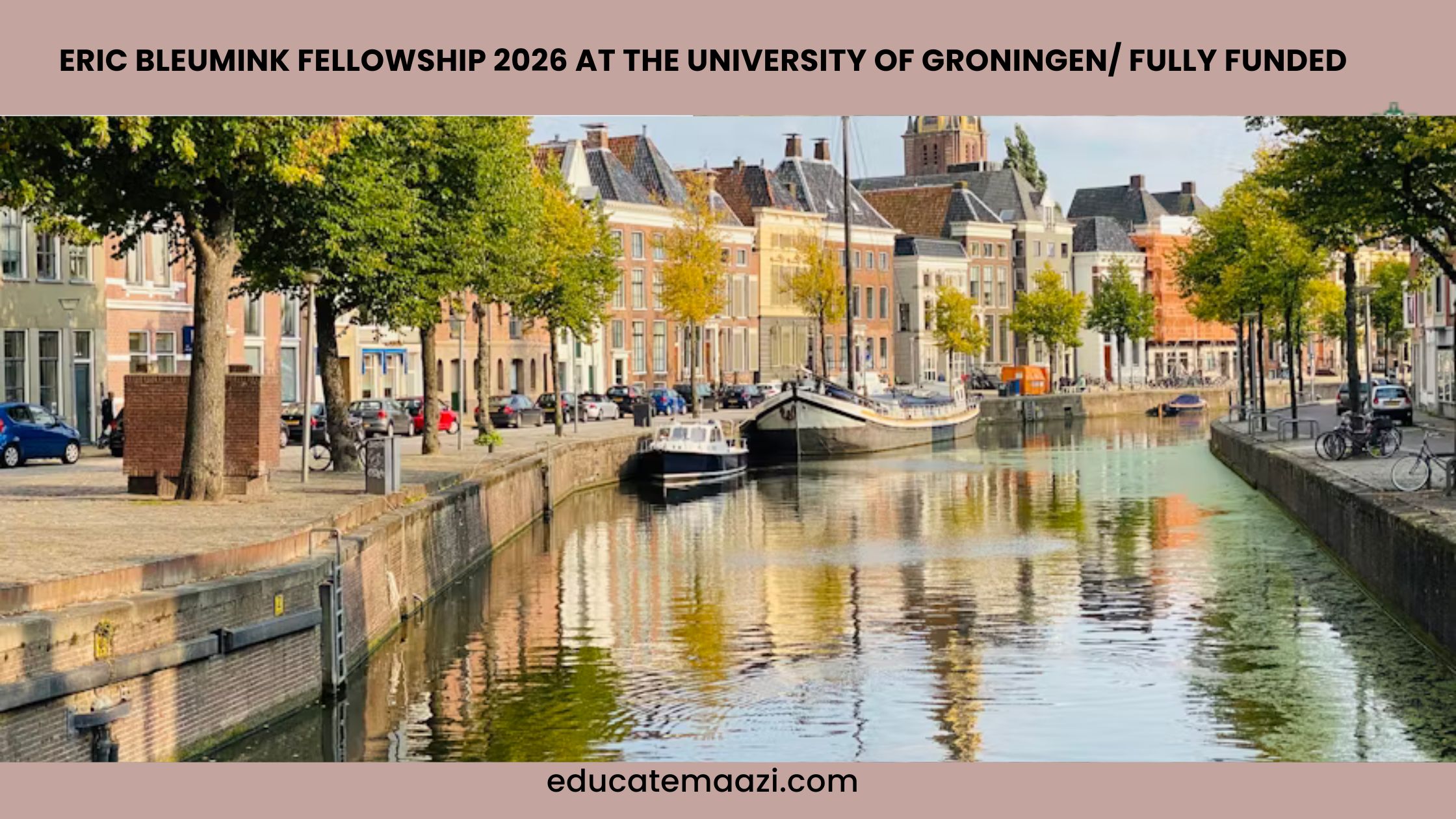 Eric Bluemink Fellowship 2026 at the University of Groningen: Funded Funded